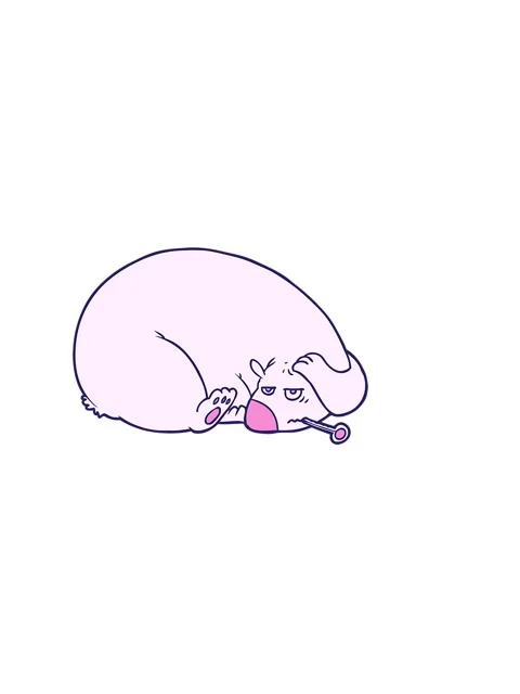 Horizontally vibrating animation of bear with a sore head Stock Footage 324293413