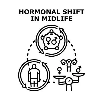 Hormonal shift in midlife cycle changing human health Stock Illustration