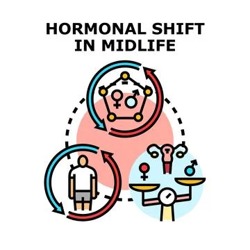 Hormonal shift in midlife cycle changing human health Stock Illustration