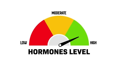 Hormone Level Gauge Animation Low to High Indicator Stock Footage 315617133