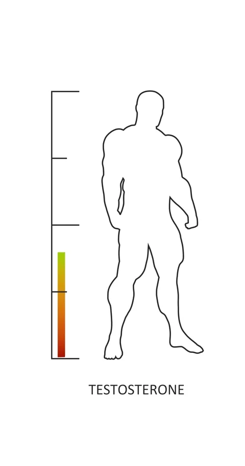 Hormone testosterone level measuring scale with muscular man silhouette. Level Stock Footage 277860592