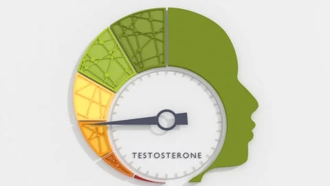 Hormone testosterone level measuring scale with a male head silhouette. 3D Stock Footage 322992571