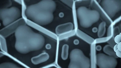 Hormones and human cells Stock Footage 77358244
