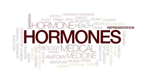 Hormones animated word cloud, text desig... | Stock Video | Pond5