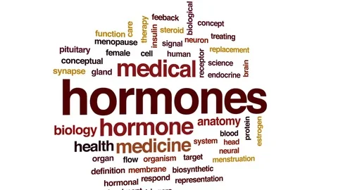 Hormones animated word cloud, text desig... | Stock Video | Pond5