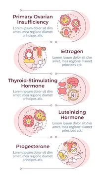Hormones infographic vertical sequence Stockillustratie