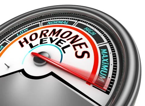 Hormones level conceptual meter Illustrazione stock