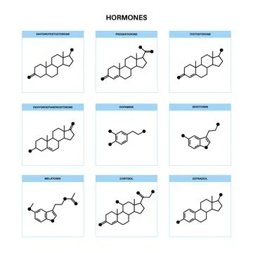 Hormones molecular formula Stock Illustration