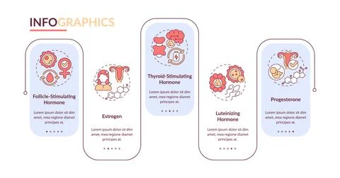 Hormones rectangle infographic vector イラスト素材