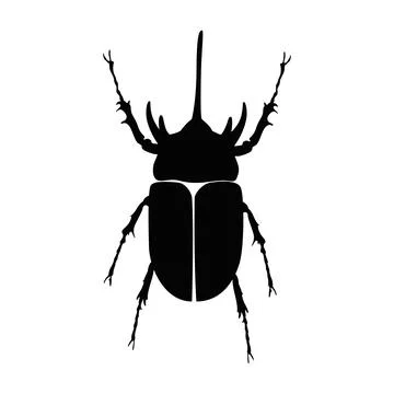 Horn beetle Stock Illustration