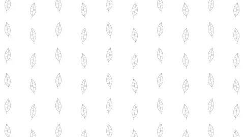 Hornbeam tree leaves black thin line icons on a white background Stock Footage 159367723