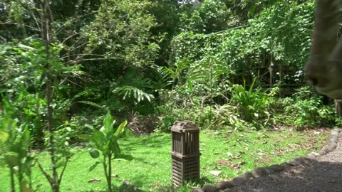 Hornbill's Corner Riverside Deck At Borneo Rainforest Lodge Stockbeeldmateriaal 345090424