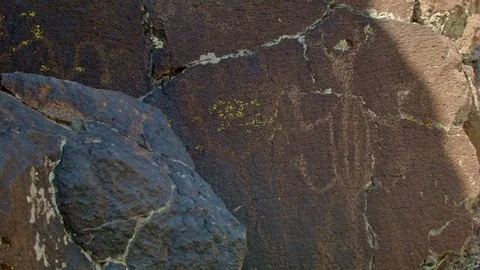 Horned lizard Ancient Native American Indian Rock Art at Petroglyph Lake Hart Stock Footage 81716396