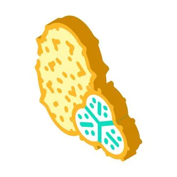Horned melon fruit isometric icon vector illustration Stock Illustration