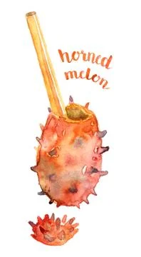 Horned melon with straw. Stock Illustration