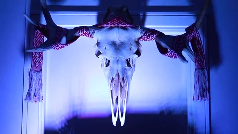 Horned Skull 库存影片 171276533