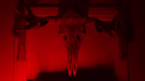 Horned Skull, Horror 库存影片 171276526