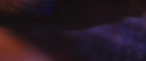 Horned viper snake trying to attack and bite while looking at the camera Video stock 129102931