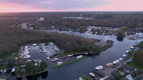 Horning 動画素材 144883110