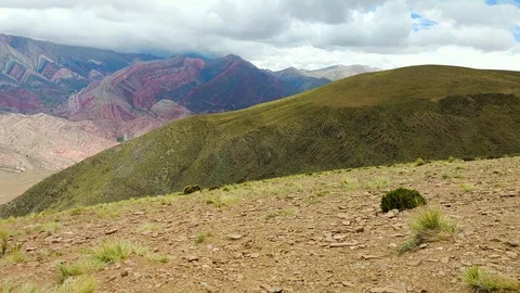 Hornocal Video stock 105926939