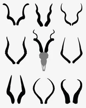 Horns of antelopes Stock Illustration