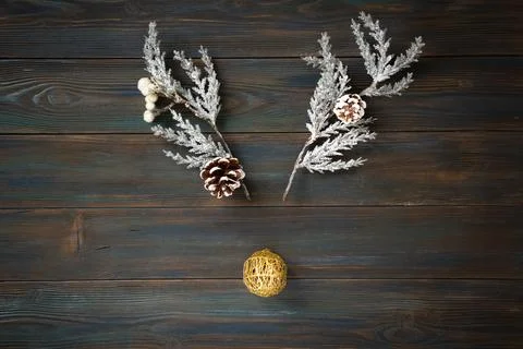 Horns of branches on a dark background. The concept of a Christmas deer. Stock Photos