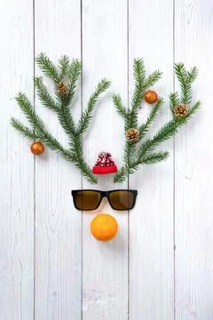 Horns of branches on a dark background. The concept of a Christmas deer. Stock Photos