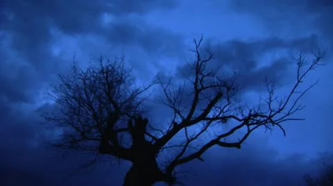 Horor Sky Stock Footage 24655196