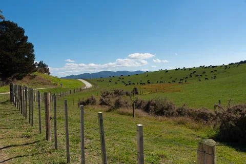 Horotiu section of the Te Awa River Ride, Waikato Stock Photos