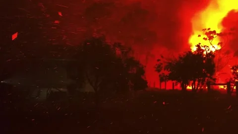 Horrifying Firestorm in the Forest at Night 스톡 동영상 261077128