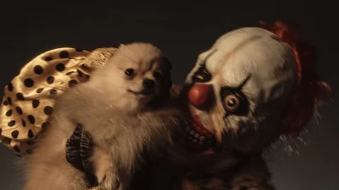 Horror clown with a dog. Stock Footage 100691301