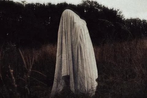 A horror concept of a ghost with a sheet. Standing in the countryside. Stock Illustration