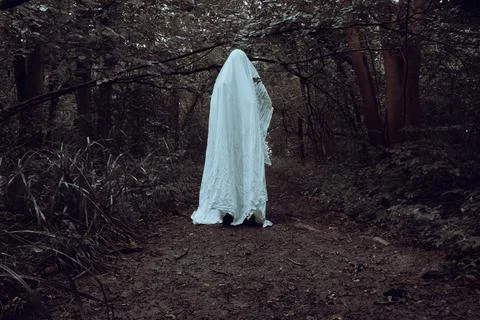 A horror concept of a ghost with a sheet. Standing in a dark spooky forest. Stock Photos