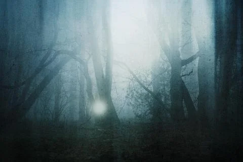 A horror concept of a glowing orb in a spooky forest on a moody, foggy day Stock Illustration