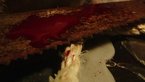 Horror concept: Macro dolly out of a blood covered rusty saw surrounded by Stock Footage 335265437