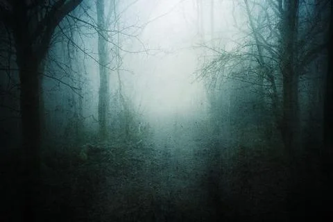 A horror concept of a path through a spooky forest Stock Illustration