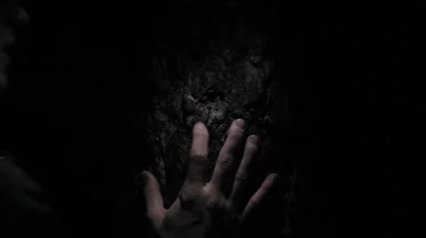 Horror in the dark forest Stock Footage 36828940