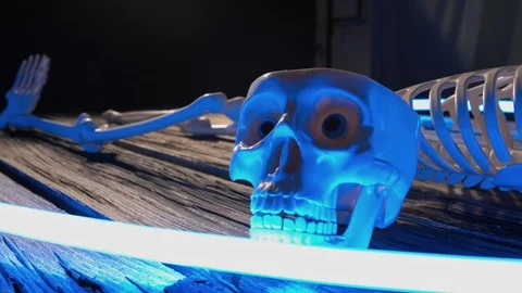 Horror decoration skeleton bones on old wood planks Stock Footage 116480964