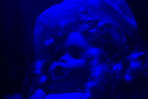 Horror doll blue light front view. Stock Photos