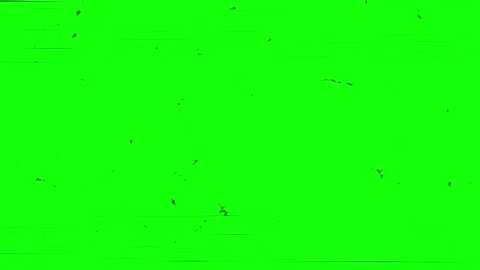 Horror effect with lines and flashing screen with green screen isolated Stock Footage 279765153