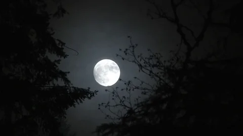 Horror Film Full Moon At Night Time Lapse Видео