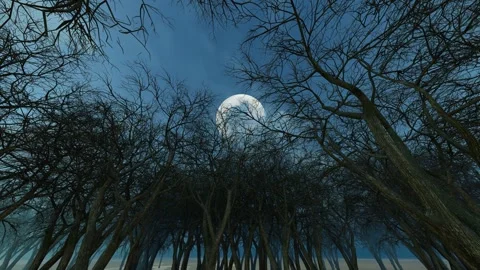 Horror forest moon rise empty mirror Video stock 288179023