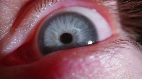 Horror Macro Shot of Scared Frantic Blue Eye With Moving Veins Stock Footage 130313623