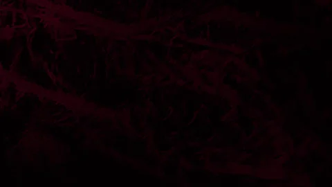 Horror motion design organic series loop one Stock Footage 345447544