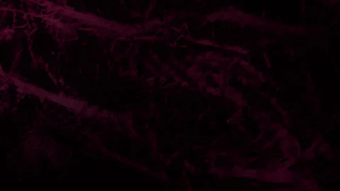 Horror motion design organic series loop two Stock Footage 345447547