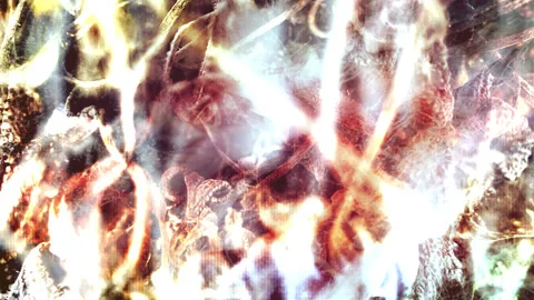Horror motion design organic series loop seven Stock Footage 345447592