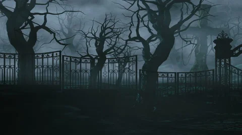 Horror night park. Moonlight . halloween concept. 3d animation Stock Footage