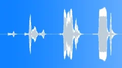 Horror Scary Creak Sound Effect