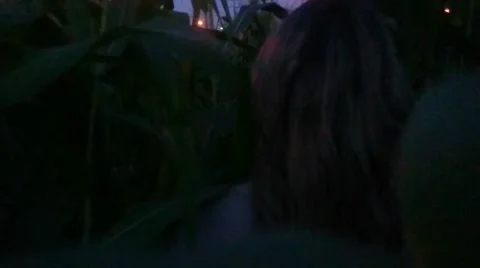 Horror scene in corn field at night Stock Footage 67639461