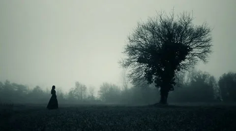 Horror scene Stock Footage 58876134